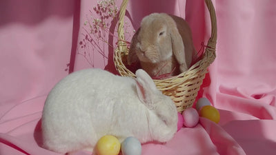 Glowbag wünscht frohe Ostern